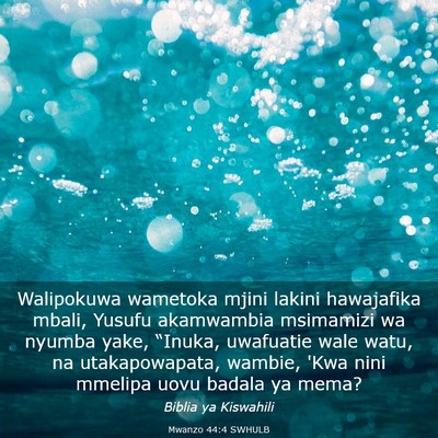 Picture 03 - Mwanzo 44:4 SWHULB - Walipokuwa wametoka mjini lakini hawajafika - Bible Verse Picture