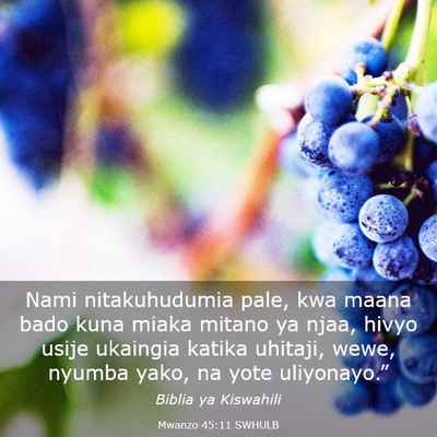 Picture 03 - Mwanzo 45:11 SWHULB - Nami nitakuhudumia pale, kwa maana bado kuna - Bible Verse Picture