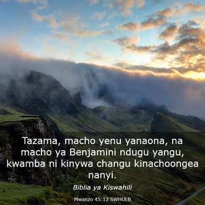 Picture 03 - Mwanzo 45:12 SWHULB - Tazama, macho yenu yanaona, na macho ya Benjamini - Bible Verse Picture