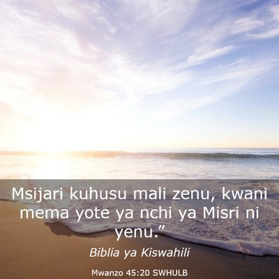 Picture 03 - Mwanzo 45:20 SWHULB - Msijari kuhusu mali zenu, kwani mema yote ya nchi - Bible Verse Picture