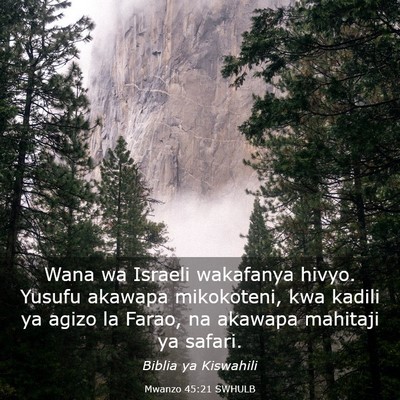 Picture 03 - Mwanzo 45:21 SWHULB - Wana wa Israeli wakafanya hivyo. Yusufu akawapa - Bible Verse Picture