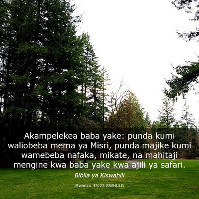 Picture 03 - Mwanzo 45:23 SWHULB - Akampelekea baba yake: punda kumi waliobeba mema - Bible Verse Picture