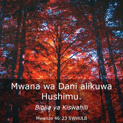 Picture 03 - Mwanzo 46:23 SWHULB - Mwana wa Dani alikuwa - Bible Verse Picture