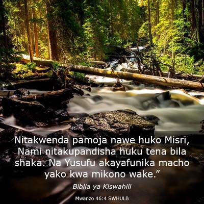 Picture 03 - Mwanzo 46:4 SWHULB - Nitakwenda pamoja nawe huko Misri, Nami - Bible Verse Picture