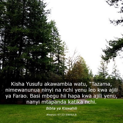 Picture 03 - Mwanzo 47:23 SWHULB - Kisha Yusufu akawambia watu, “Tazama, - Bible Verse Picture