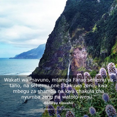 Picture 03 - Mwanzo 47:24 SWHULB - Wakati wa mavuno, mtampa Farao sehemu ya tano, na - Bible Verse Picture