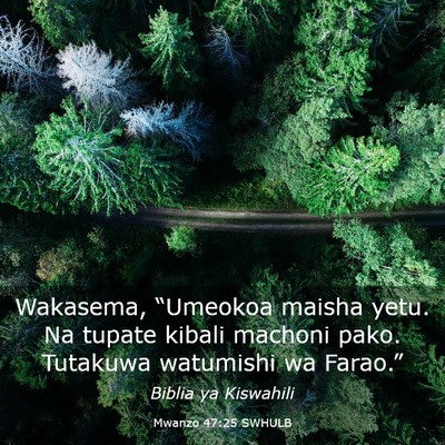 Picture 03 - Mwanzo 47:25 SWHULB - Wakasema, “Umeokoa maisha yetu. Na tupate - Bible Verse Picture