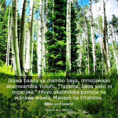 Picture 03 - Mwanzo 48:1 SWHULB - Ikawa baada ya mambo haya, mmojawapo akamwambia - Bible Verse Picture