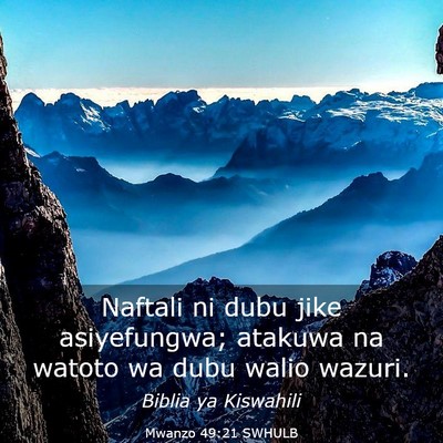 Picture 03 - Mwanzo 49:21 SWHULB - Naftali ni dubu jike asiyefungwa; atakuwa na - Bible Verse Picture