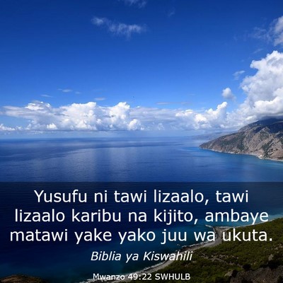 Picture 03 - Mwanzo 49:22 SWHULB - Yusufu ni tawi lizaalo, tawi lizaalo karibu na - Bible Verse Picture