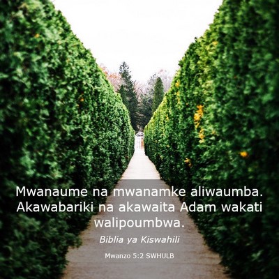 Picture 03 - Mwanzo 5:2 SWHULB - Mwanaume na mwanamke aliwaumba. Akawabariki na - Bible Verse Picture