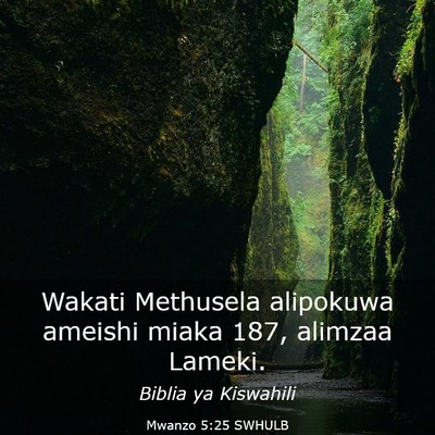 Picture 03 - Mwanzo 5:25 SWHULB - Wakati Methusela alipokuwa ameishi miaka 187, - Bible Verse Picture