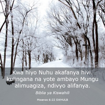 Picture 03 - Mwanzo 6:22 SWHULB - Kwa hiyo Nuhu akafanya hivi. kulingana na yote - Bible Verse Picture