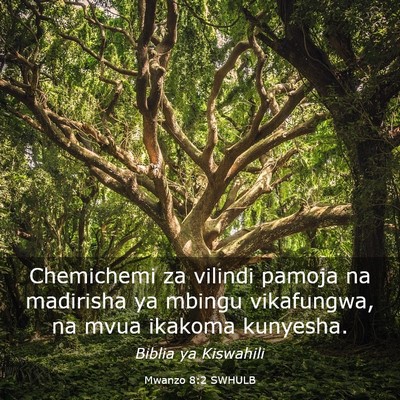 Picture 03 - Mwanzo 8:2 SWHULB - Chemichemi za vilindi pamoja na madirisha ya - Bible Verse Picture