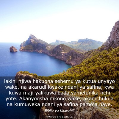 Picture 03 - Mwanzo 8:9 SWHULB - lakini njiwa hakuona sehemu ya kutua unyayo wake, - Bible Verse Picture