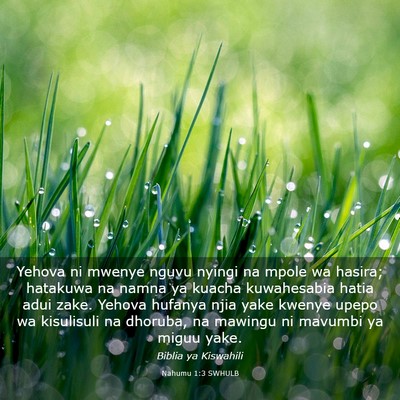 Picture 03 - Nahumu 1:3 SWHULB - Yehova ni mwenye nguvu nyingi na mpole wa hasira; - Bible Verse Picture