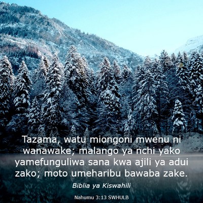 Picture 03 - Nahumu 3:13 SWHULB - Tazama, watu miongoni mwenu ni wanawake; malango - Bible Verse Picture