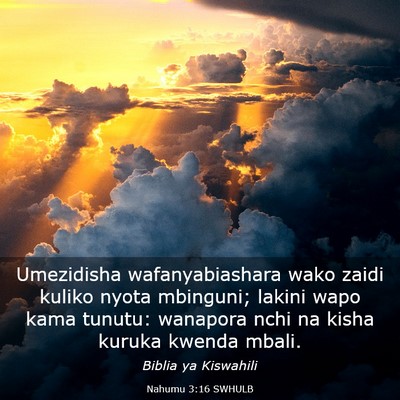 Picture 03 - Nahumu 3:16 SWHULB - Umezidisha wafanyabiashara wako zaidi kuliko - Bible Verse Picture