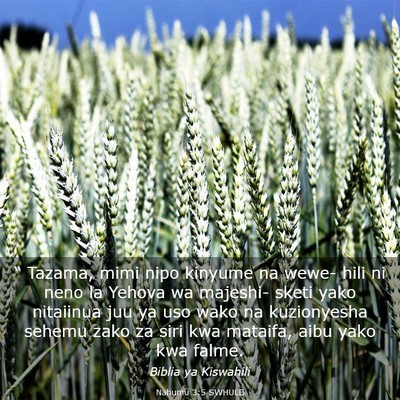 Picture 03 - Nahumu 3:5 SWHULB - “ Tazama, mimi nipo kinyume na wewe- hili ni - Bible Verse Picture