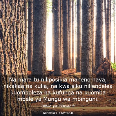 Picture 03 - Nehemia 1:4 SWHULB - Na mara tu niliposikia maneno haya, nikakaa na - Bible Verse Picture