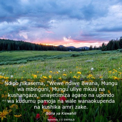 Picture 03 - Nehemia 1:5 SWHULB - Ndipo nikasema, “Wewe ndiwe Bwana, Mungu wa - Bible Verse Picture