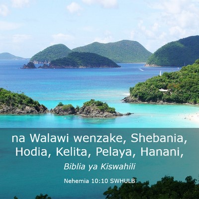 Picture 03 - Nehemia 10:10 SWHULB - na Walawi wenzake, Shebania, Hodia, Kelita, - Bible Verse Picture