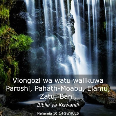 Picture 03 - Nehemia 10:14 SWHULB - Viongozi wa watu walikuwa Paroshi, Pahath-Moabu, - Bible Verse Picture