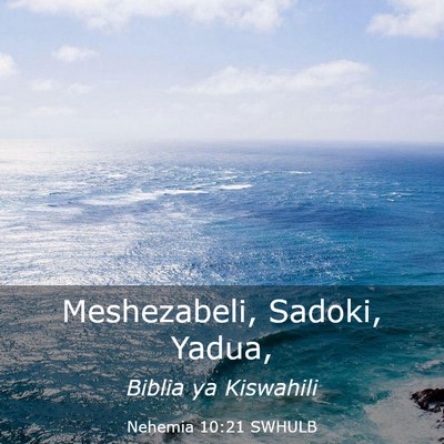 Picture 03 - Nehemia 10:21 SWHULB - Meshezabeli, Sadoki, - Bible Verse Picture