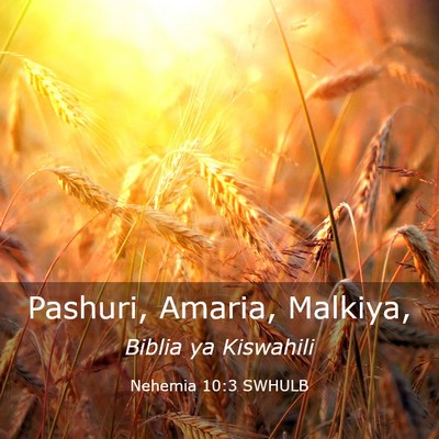 Picture 03 - Nehemia 10:3 SWHULB - Pashuri, Amaria, - Bible Verse Picture