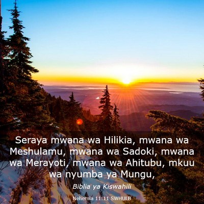 Picture 03 - Nehemia 11:11 SWHULB - Seraya mwana wa Hilikia, mwana wa Meshulamu, - Bible Verse Picture