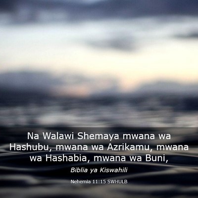 Picture 03 - Nehemia 11:15 SWHULB - Na Walawi Shemaya mwana wa Hashubu, mwana wa - Bible Verse Picture