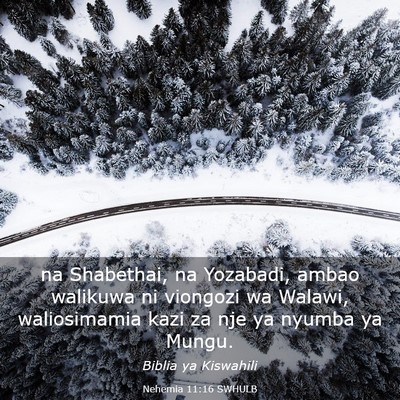 Picture 03 - Nehemia 11:16 SWHULB - na Shabethai, na Yozabadi, ambao walikuwa ni - Bible Verse Picture