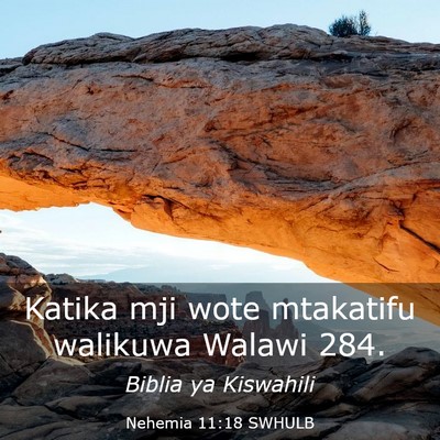 Picture 03 - Nehemia 11:18 SWHULB - Katika mji wote mtakatifu walikuwa Walawi - Bible Verse Picture