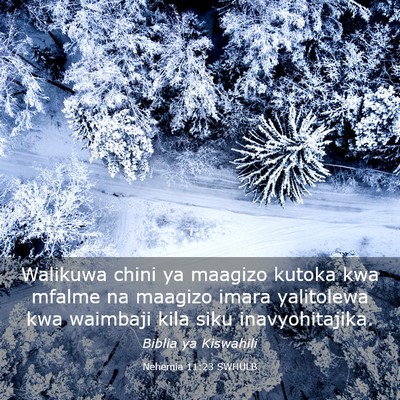 Picture 03 - Nehemia 11:23 SWHULB - Walikuwa chini ya maagizo kutoka kwa mfalme na - Bible Verse Picture