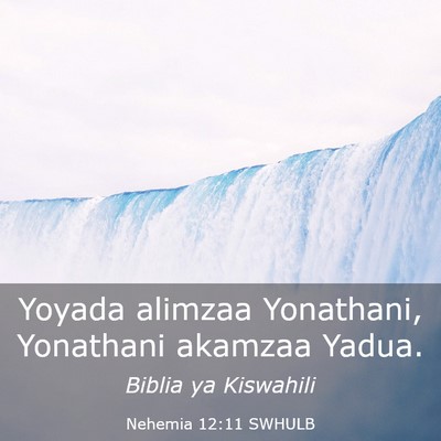 Picture 03 - Nehemia 12:11 SWHULB - Yoyada alimzaa Yonathani, Yonathani akamzaa - Bible Verse Picture