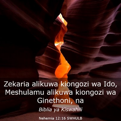 Picture 03 - Nehemia 12:16 SWHULB - Zekaria alikuwa kiongozi wa Ido, Meshulamu - Bible Verse Picture
