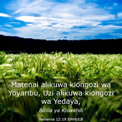 Picture 03 - Nehemia 12:19 SWHULB - Matenai alikuwa kiongozi wa Yoyaribu, Uzi alikuwa - Bible Verse Picture