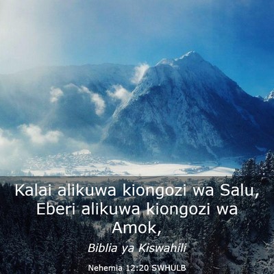 Picture 03 - Nehemia 12:20 SWHULB - Kalai alikuwa kiongozi wa Salu, Eberi alikuwa - Bible Verse Picture