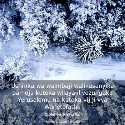 Picture 03 - Nehemia 12:28 SWHULB - Ushirika wa waimbaji walikusanyika pamoja kutoka - Bible Verse Picture