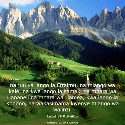 Picture 03 - Nehemia 12:39 SWHULB - na juu ya lango la Efraimu, na mlango wa kale, na - Bible Verse Picture