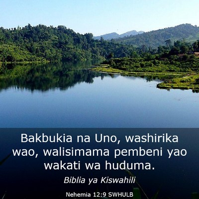 Picture 03 - Nehemia 12:9 SWHULB - Bakbukia na Uno, washirika wao, walisimama - Bible Verse Picture