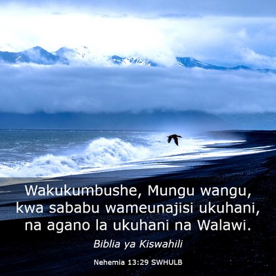 Picture 03 - Nehemia 13:29 SWHULB - Wakukumbushe, Mungu wangu, kwa sababu wameunajisi - Bible Verse Picture
