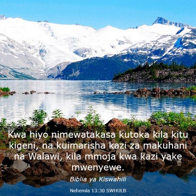 Picture 03 - Nehemia 13:30 SWHULB - Kwa hiyo nimewatakasa kutoka kila kitu kigeni, na - Bible Verse Picture