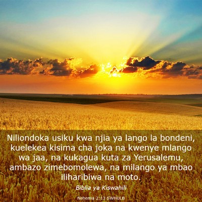 Picture 03 - Nehemia 2:13 SWHULB - Niliondoka usiku kwa njia ya lango la bondeni, - Bible Verse Picture