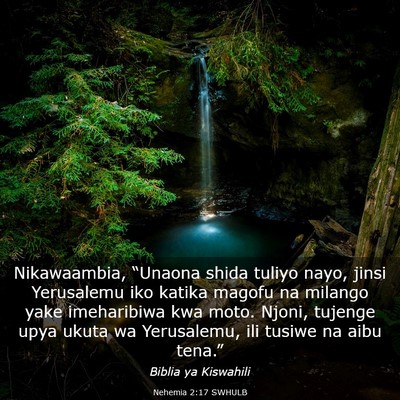 Picture 03 - Nehemia 2:17 SWHULB - Nikawaambia, “Unaona shida tuliyo nayo, jinsi - Bible Verse Picture