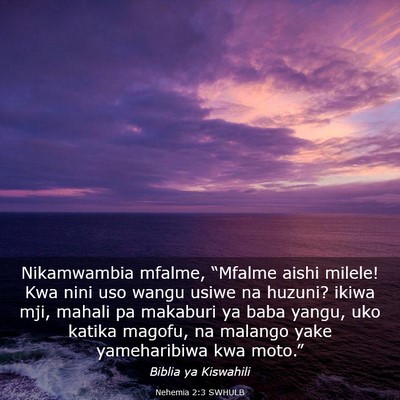 Picture 03 - Nehemia 2:3 SWHULB - Nikamwambia mfalme, “Mfalme aishi milele! Kwa - Bible Verse Picture