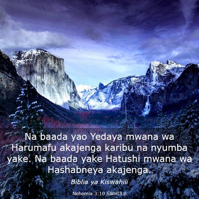 Picture 03 - Nehemia 3:10 SWHULB - Na baada yao Yedaya mwana wa Harumafu akajenga - Bible Verse Picture