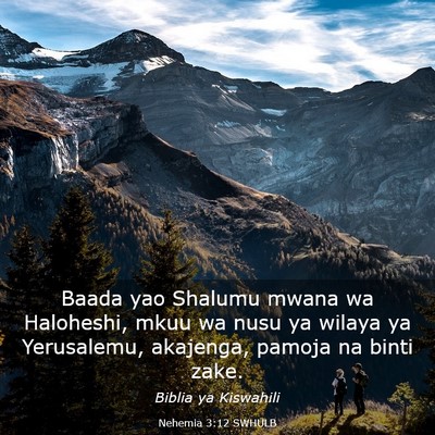 Picture 03 - Nehemia 3:12 SWHULB - Baada yao Shalumu mwana wa Haloheshi, mkuu wa - Bible Verse Picture