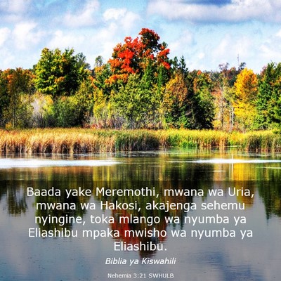 Picture 03 - Nehemia 3:21 SWHULB - Baada yake Meremothi, mwana wa Uria, mwana wa - Bible Verse Picture