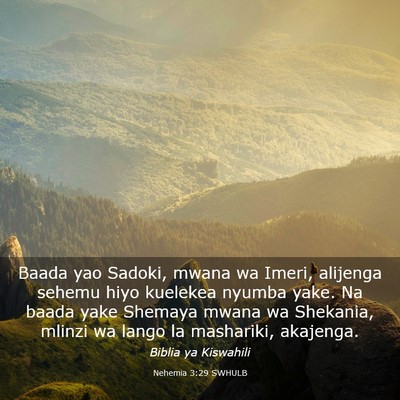 Picture 03 - Nehemia 3:29 SWHULB - Baada yao Sadoki, mwana wa Imeri, alijenga sehemu - Bible Verse Picture